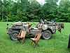 WWII Display